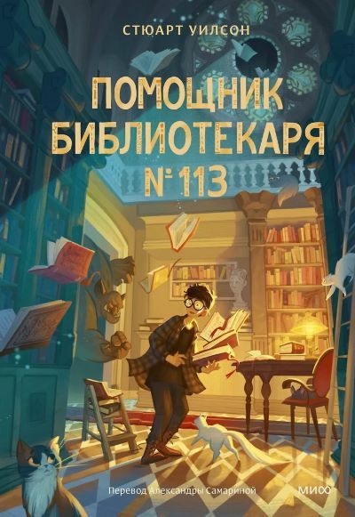 Помощник библиотекаря № 113